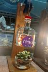 images/sunnyspring_pics/THUMBS_BTL_LAMPS/P_20230408_171604.jpg